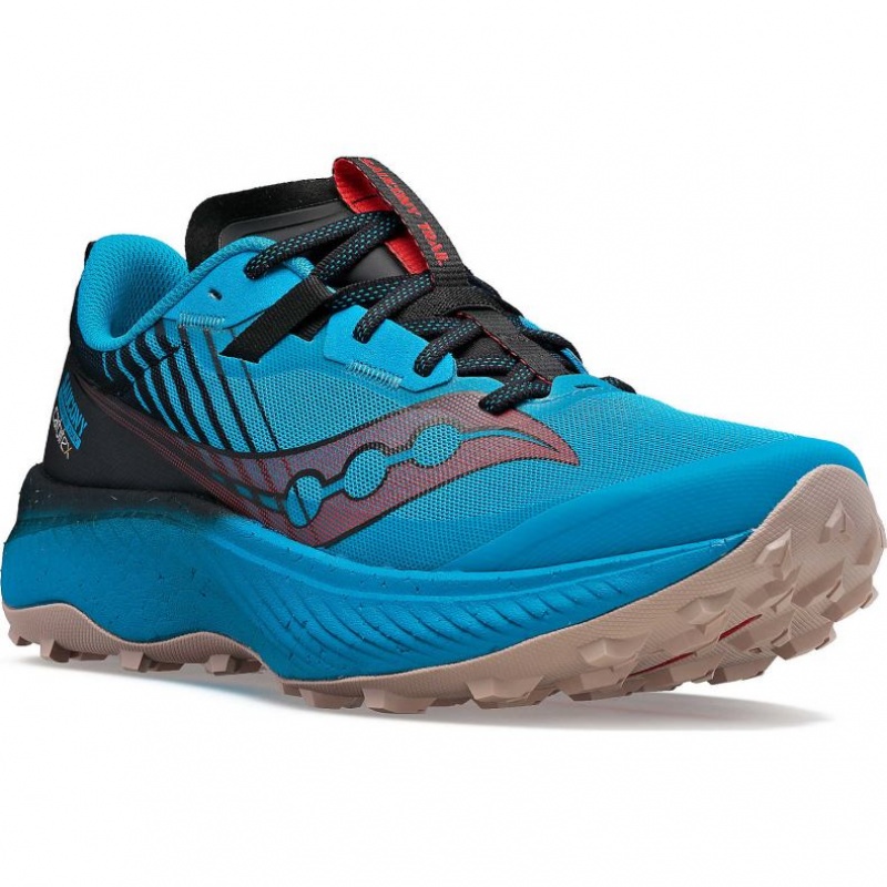 Saucony Endorphin Edge Trailrunning Schuhe Herren Blau | SCHWEIZ RNDHO