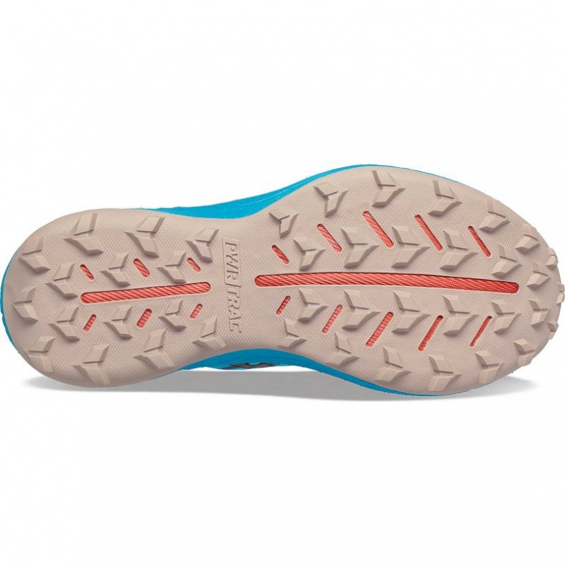 Saucony Endorphin Edge Trailrunning Schuhe Damen Blau | SCHWEIZ XPQLK