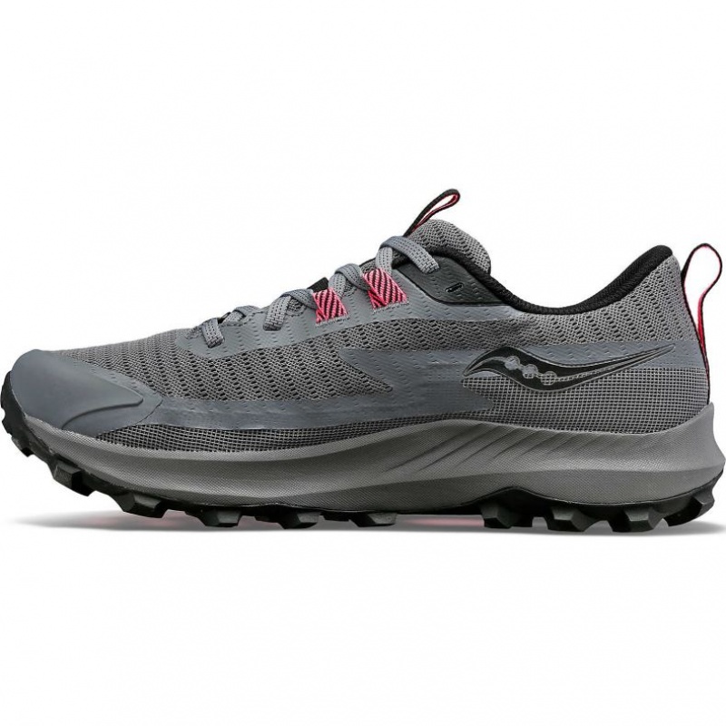 Saucony Peregrine 13 GTX Trailrunning Schuhe Damen Grau | SCHWEIZ RCMTZ