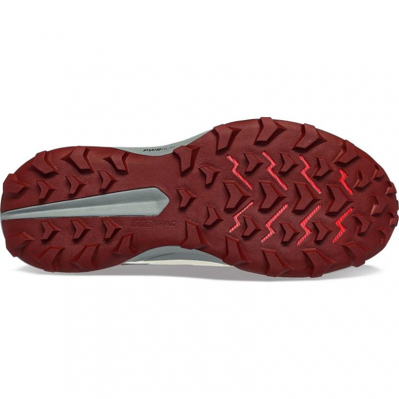 Saucony Peregrine 13 Trailrunning Schuhe Damen Weiß | SCHWEIZ HSGJP