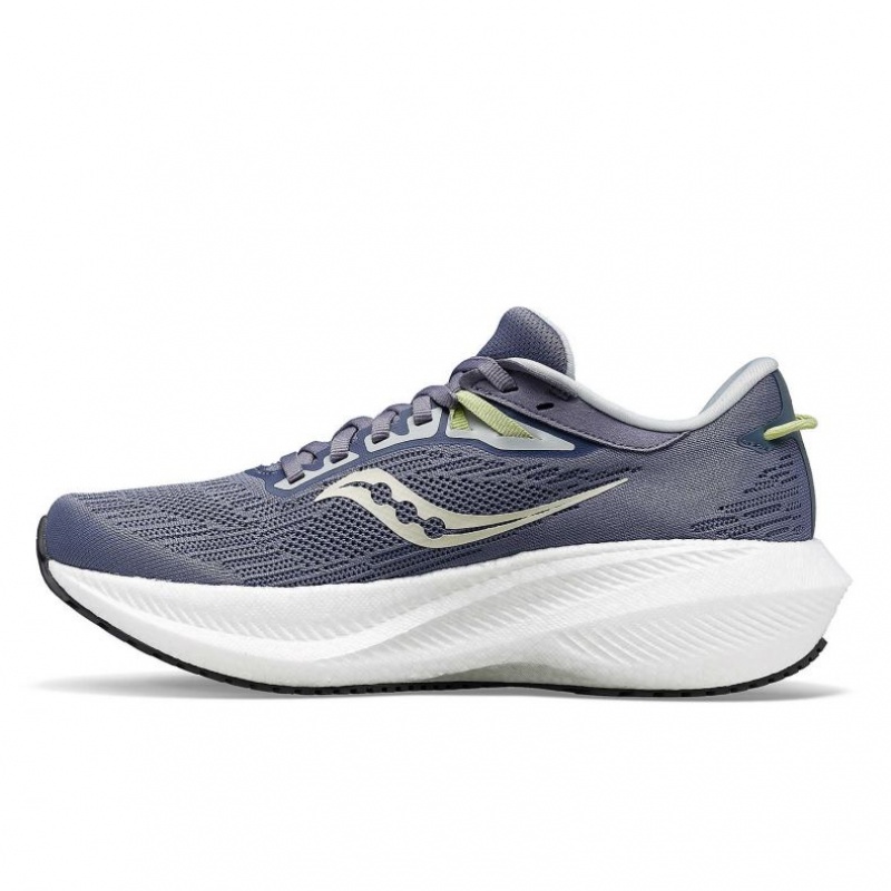 Saucony Triumph 21 Laufschuhe Damen Blau | SCHWEIZ LQVGF